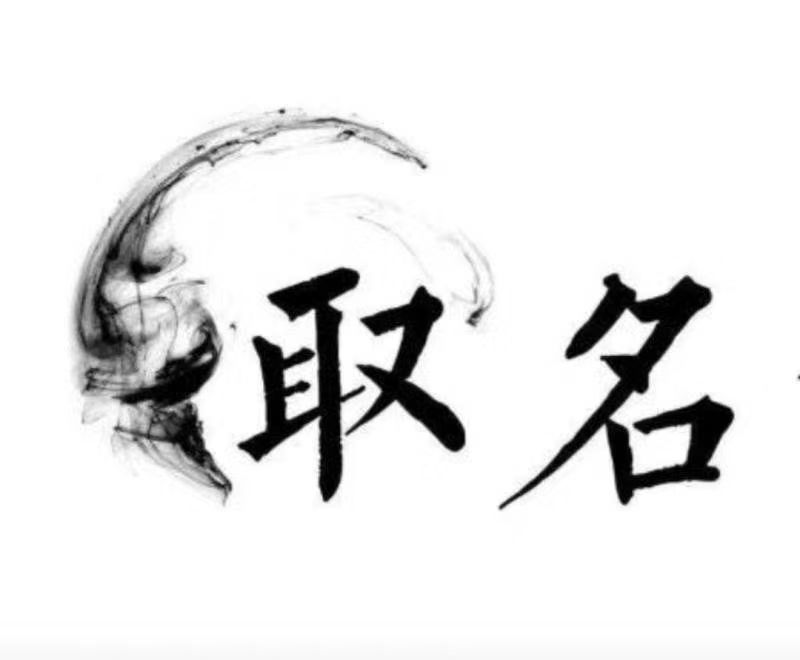  萨嘎宝宝取名 大师一对一人工起名